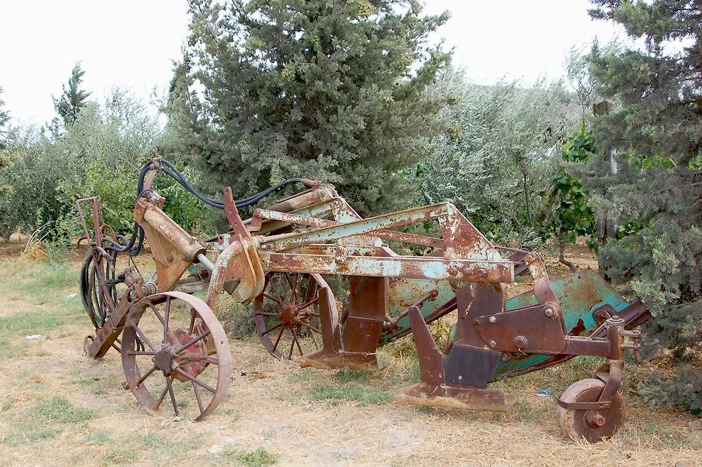 Il Giogo Agriturismo Rosignano Marittimo