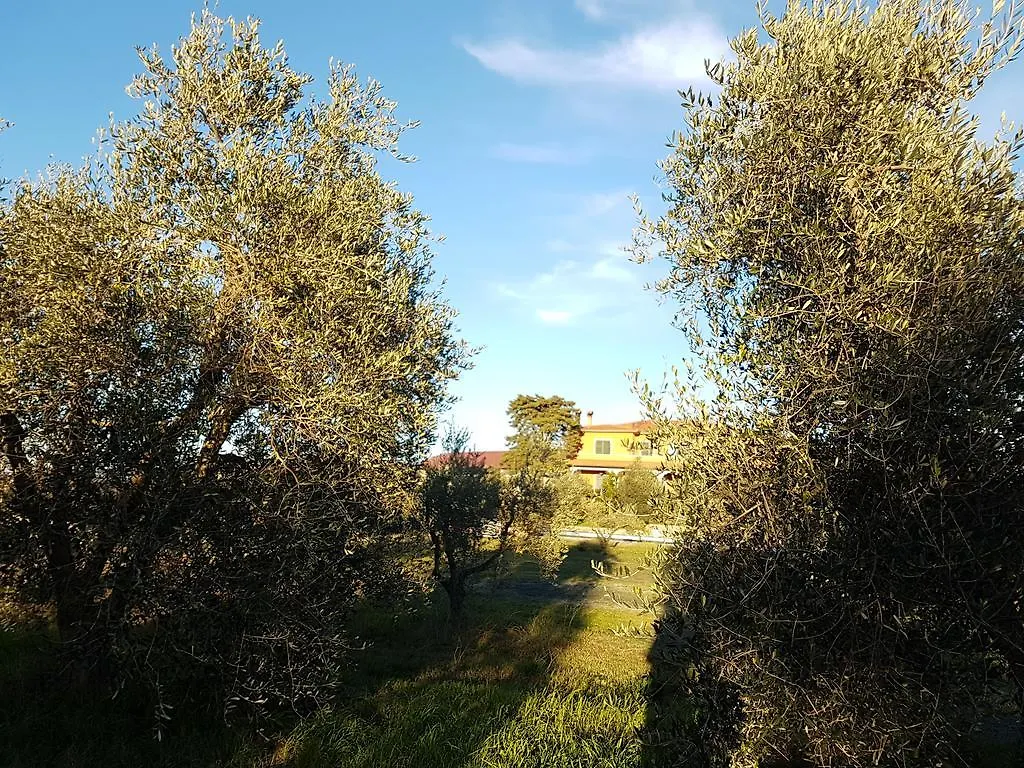 Il Giogo Agriturismo Rosignano Marittimo 0*,  Italy