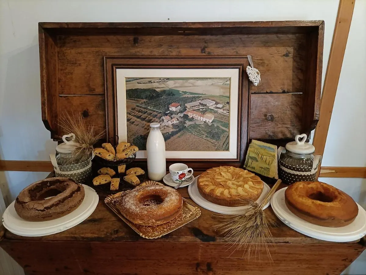 Il Giogo Agriturismo Rosignano Marittimo Alloggio per agriturismo